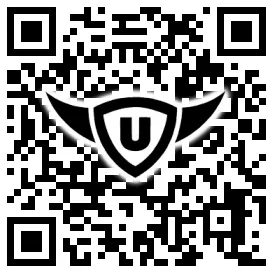 QR-Code Stonies