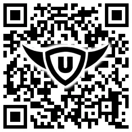 QR-Code Stonies