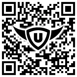 QR-Code Stonies