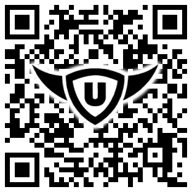 QR-Code Stonies