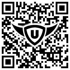 QR-Code Stonies