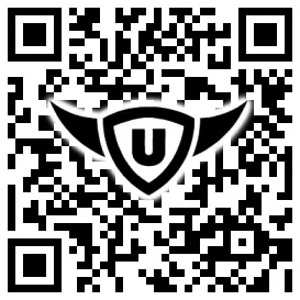 QR-Code Stonies