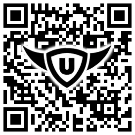 QR-Code Stonies